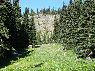 Flowers on Marmot Pass trail.