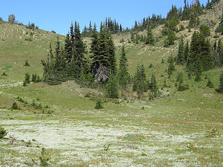 Marmot Pass basin.