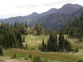 Meadow below Marmot Pass.