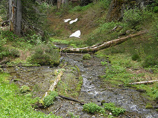 Creek near Camp Mystery on Marmot Pass trail.