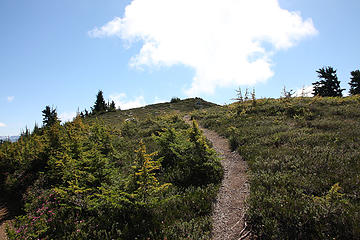 Trail to June Mountain