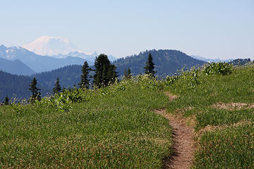 Trail towards Rainier