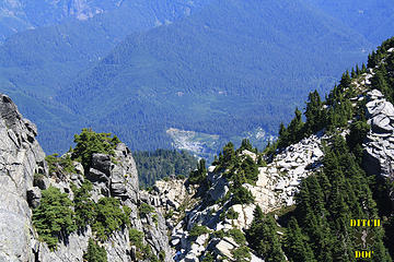 Doc just looking out from Pilchuck