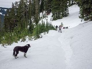 We put on snowshoes where the trail crosses the ridge to the south side. Isabel doesn't need them.
