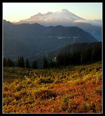 Looking toward Mt Baker with slopes of Heather