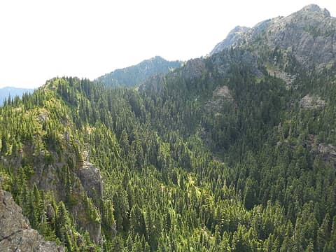 Upper basin of the south branch, south fork Tunnel Creek