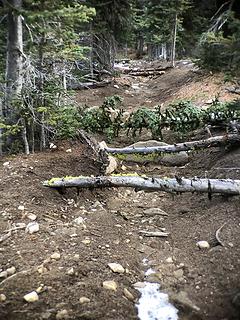 Nason Ridge multi-use trail 11/11/19