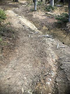 Nason Ridge multi-use trail 11/11/19