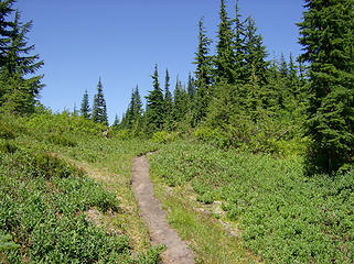 The trail up to McCausland