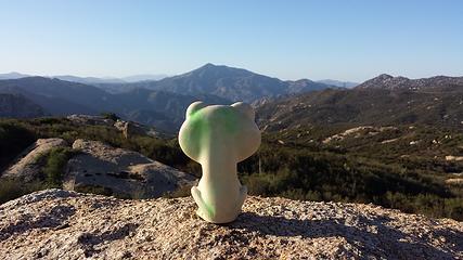 Froggy admires Tecate Pk.
