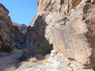 A wet canyon narrows announced by a panel of petroglyphs