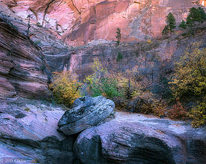 Side Canyon Zion (1 of 1)