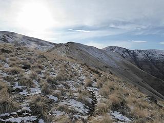 A pretty good trail on the ridge.