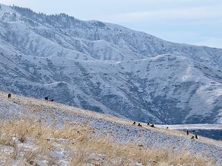 Elk and Mt Wilson ridge.