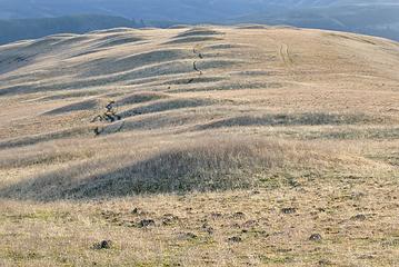 Mounds on the ridge top.