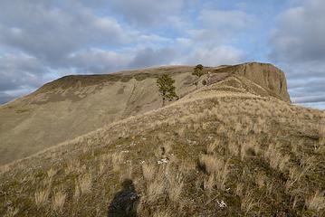 The broad ridge of Myrtle BM.