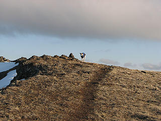 Kiefer on the summit