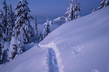 Deep ski tracks