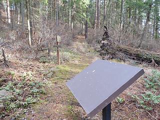 Beginning of trail in Chatcolet campground.