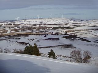 Whitman County windmills.