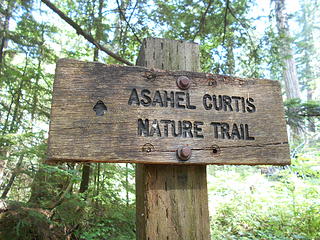 Asahel Curtis Nature Trail No. 1023 082819 03