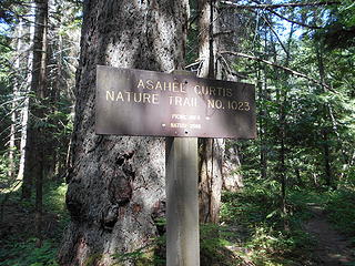 Asahel Curtis Nature Trail No. 1023 082819 01