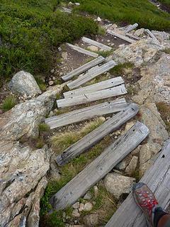 wooden steps along the trail