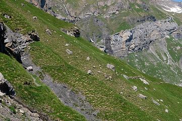 My experience as accidental shepherdess, Kandersteg, Switzerland 6/28/19 courtesy D. Abell