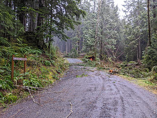 The CCC trail connection has trees down. It will turn out worse as I go farther.  Map: location 2