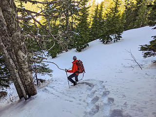 We traversed Coincidence Ridge to the lowest point and then dropped off onto the steep slopes down through the old forest. The snow was perfect for solid snow shoe steps.