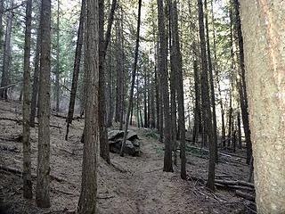 Pine Ridge Trail.