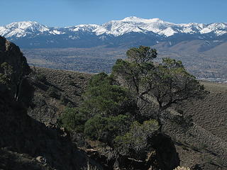 Mt Rose from Pk 6075