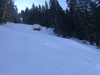 PCT northbound from Stevens Pass 3/15/20