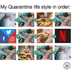 quarantine lifestyle