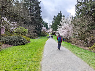 Seattle Arboretum walk