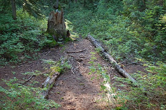 4 Trails intersecting on the Guye Peak Saddle