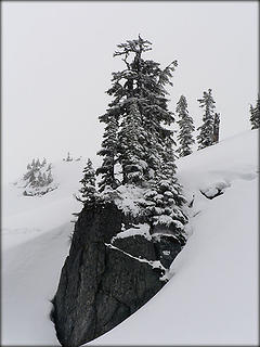 Trees Rock Snow Mist, as seen on E slope of Bedal 5.13.07.