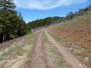 Road to the top of Saddle Butte.