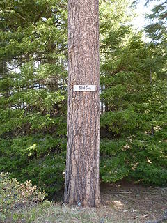 Elevation marker at junction of Rd 40 and summit road.