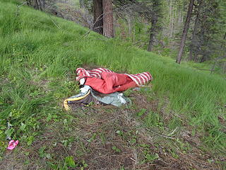 Two sleeping bags left along the trail.