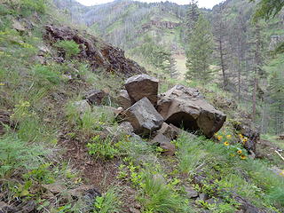 Pile of basalt on trail.