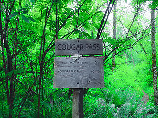 Cougar Pass