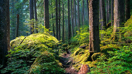 The Brothers Wilderness, Olympic National Forest
