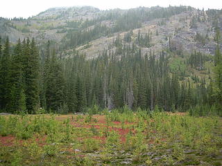 Lower Larch Lake Campground field