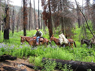 Awesome Backcountry Horsemen!
