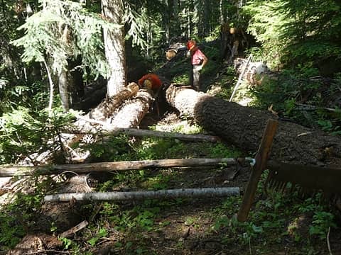 Ramp setup to roll log section past trail, 07.28.20
