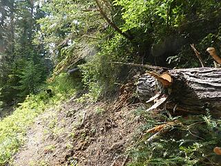 Cantilevered log at 3950' - after