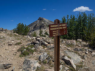 Switchback/Cooney Peak above the high point of the trail