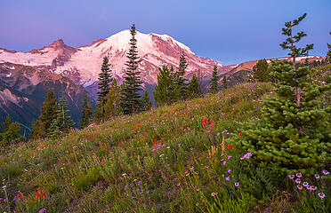 Two days down at Rainier.  Over 1700 images to go through...