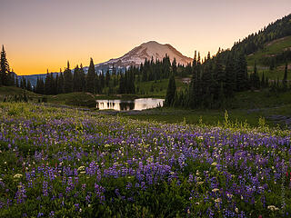 More from Rainier Naches Loop